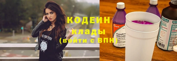 стаф Заводоуковск