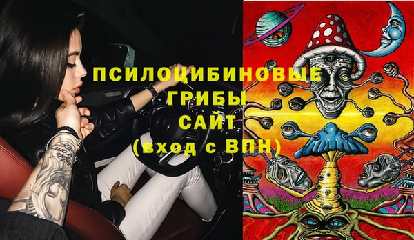 стаф Заводоуковск