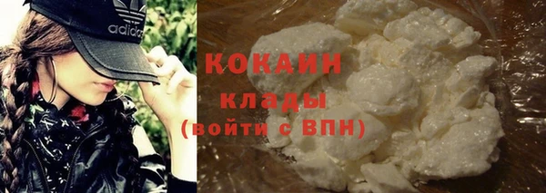 стаф Заводоуковск