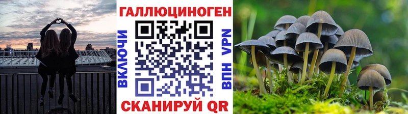 Купить  Слободской  Псилоцибиновые грибы ЛСД 